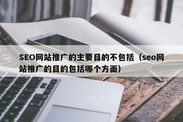SEO网站推广的主要目的不包括（seo网站推广的目的包括哪个方面）