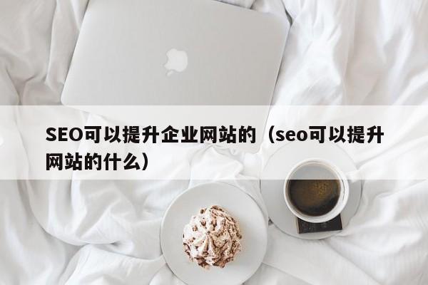 SEO可以提升企业网站的（seo可以提升网站的什么）