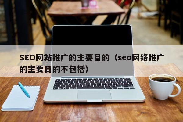 SEO网站推广的主要目的（seo网络推广的主要目的不包括）