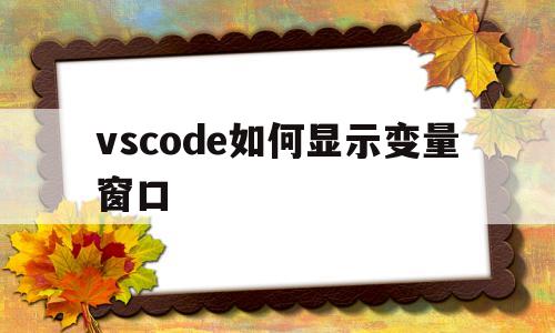vscode如何显示变量窗口(vscode可以设置显示效果吗)