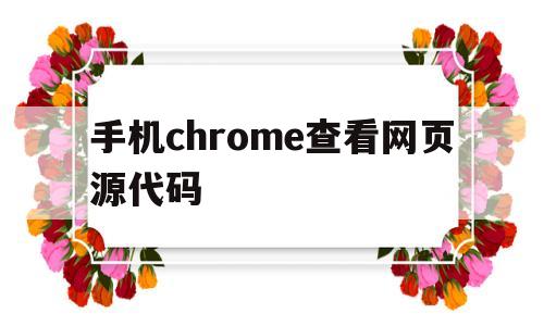 手机chrome查看网页源代码(手机谷歌浏览器怎么查看网页源代码)