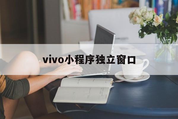 vivo小程序独立窗口(vivo窗口小程序怎么找)