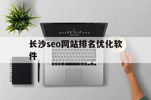 长沙seo网站排名优化软件(长沙seo网站排名优化软件有哪些)