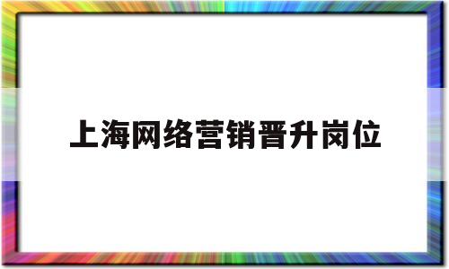 上海网络营销晋升岗位(网络营销经理的职位要求)