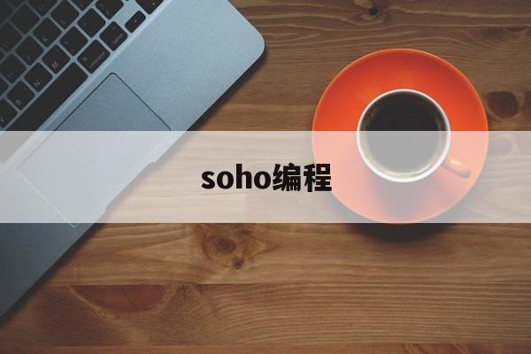 soho编程(soho程序员什么意思?)
