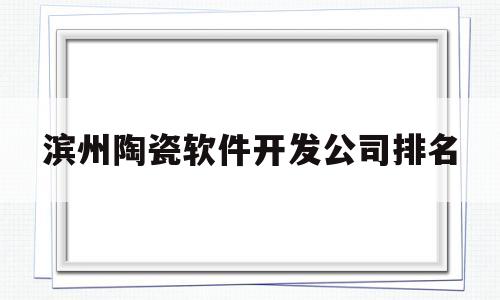 滨州陶瓷软件开发公司排名(滨州陶瓷软件开发公司排名第几)