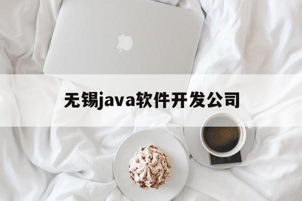 无锡java软件开发公司(无锡java开发工资)