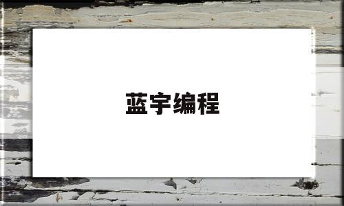 蓝宇编程(蓝雨胡军刘烨百度网盘)