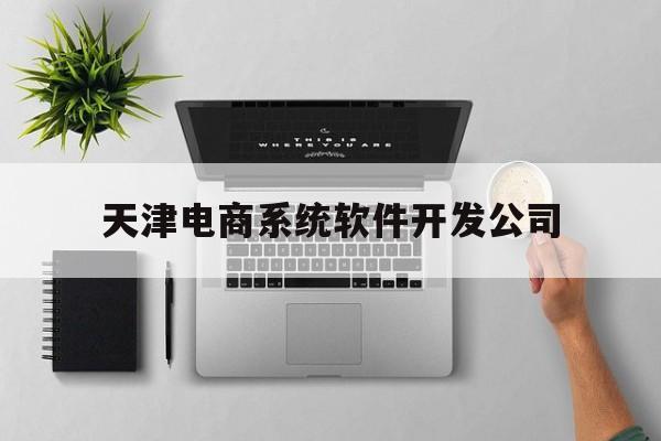 天津电商系统软件开发公司(天津电商运营)