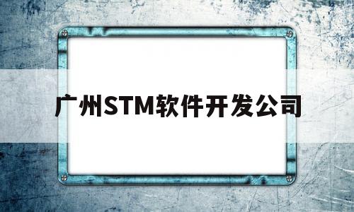 广州STM软件开发公司(广州软件开发公司排行)