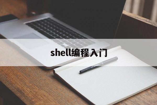 shell编程入门(shell编程入门教程)