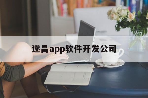 遂昌app软件开发公司(遂宁软件开发)