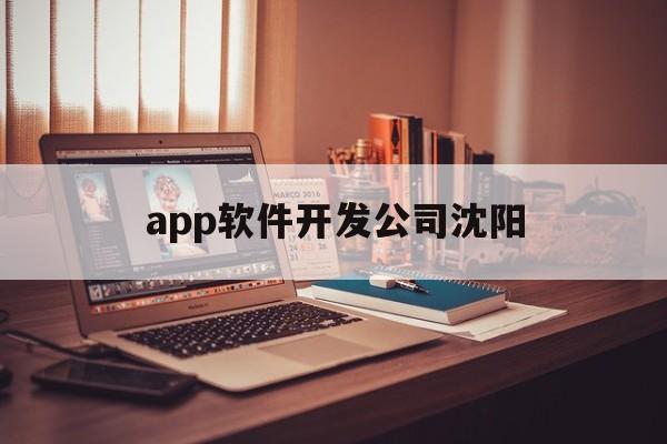 app软件开发公司沈阳(沈阳 软件公司)