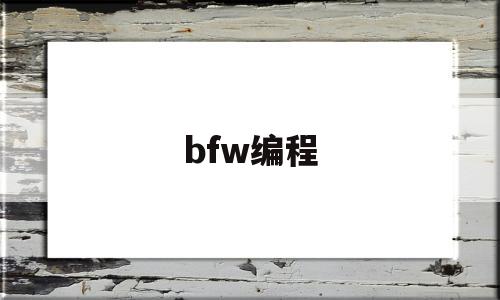 bfw编程(bfw01柱塞泵)