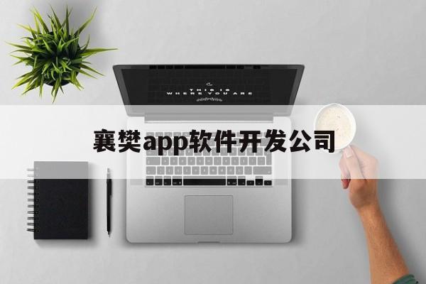 襄樊app软件开发公司(襄阳软件开发公司)