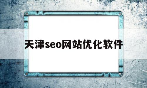 天津seo网站优化软件(天津百度seo排名优化软件)